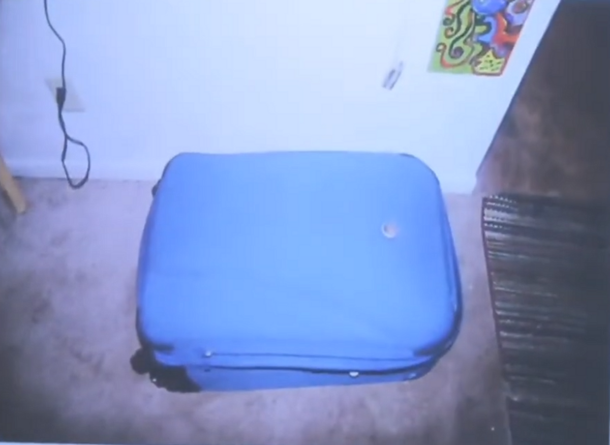 20-Inch Carry-On Hardshell Luggage - 360-Degree Spinner Wheels, TSA Lock, Lightweight Polycarbonate